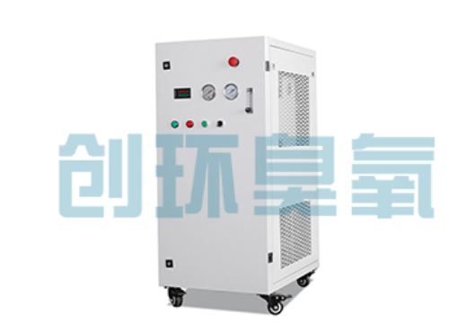 开封石斑鱼养殖水质调控完整指南：臭氧发生器配置与操作步骤