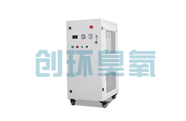 开封比传统换水更高效？臭氧发生器在石斑鱼养殖中的水质净化原理解析