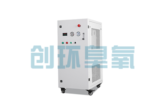 开封比传统换水更高效？臭氧发生器在石斑鱼养殖中的水质净化原理解析